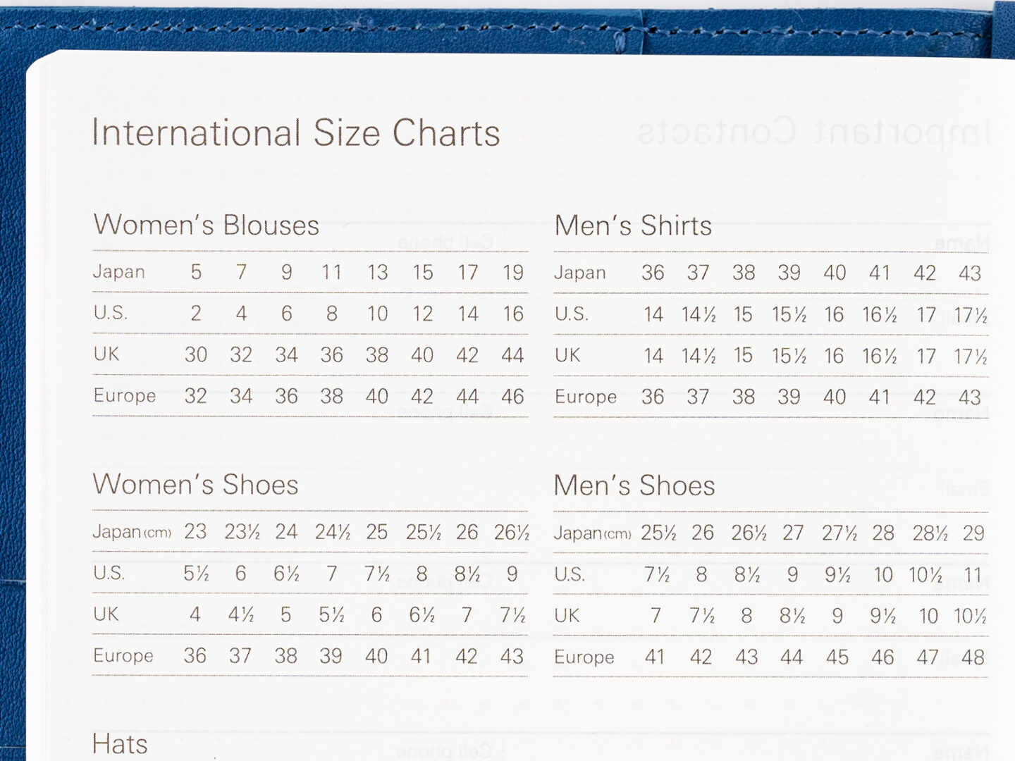 international size charts
